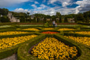 Pitmedden Garden August 2013