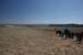 charyn_08-04-20_04