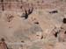 charyn_08-04-20_31