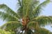 maldives_2008_april_may-053