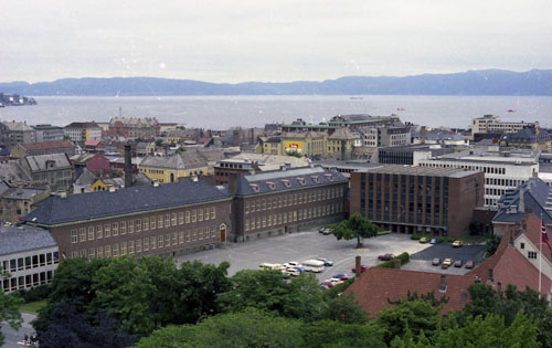 p019